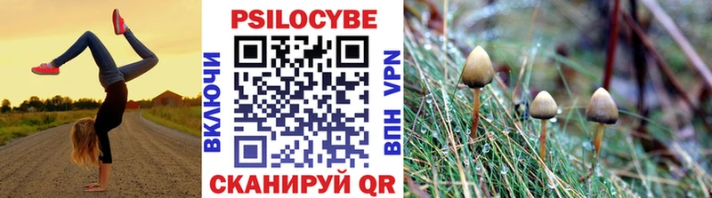 Галлюциногенные грибы мухоморы  Бодайбо 